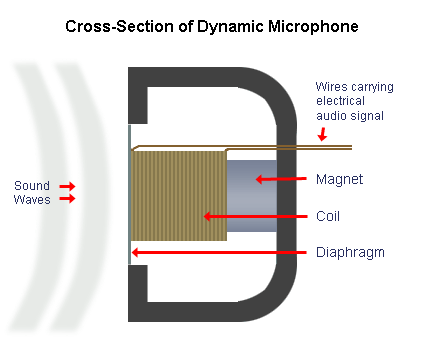 Cross Section of Dynamic Microphone